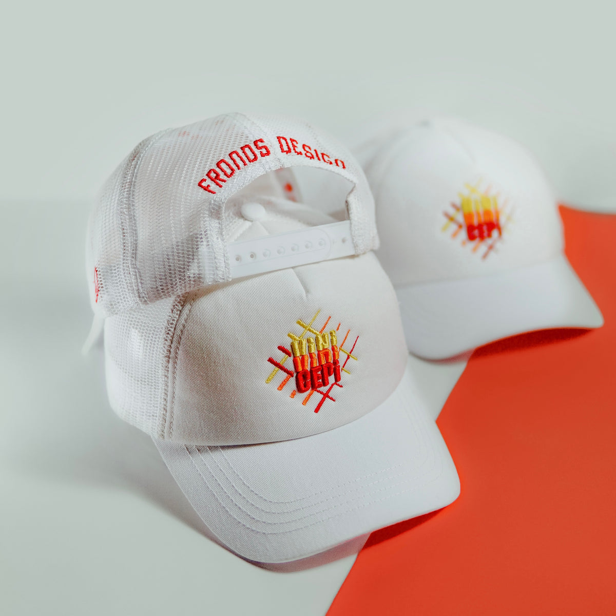 Veni Vidi Cepi photography cap by Fronds Design, photo 1