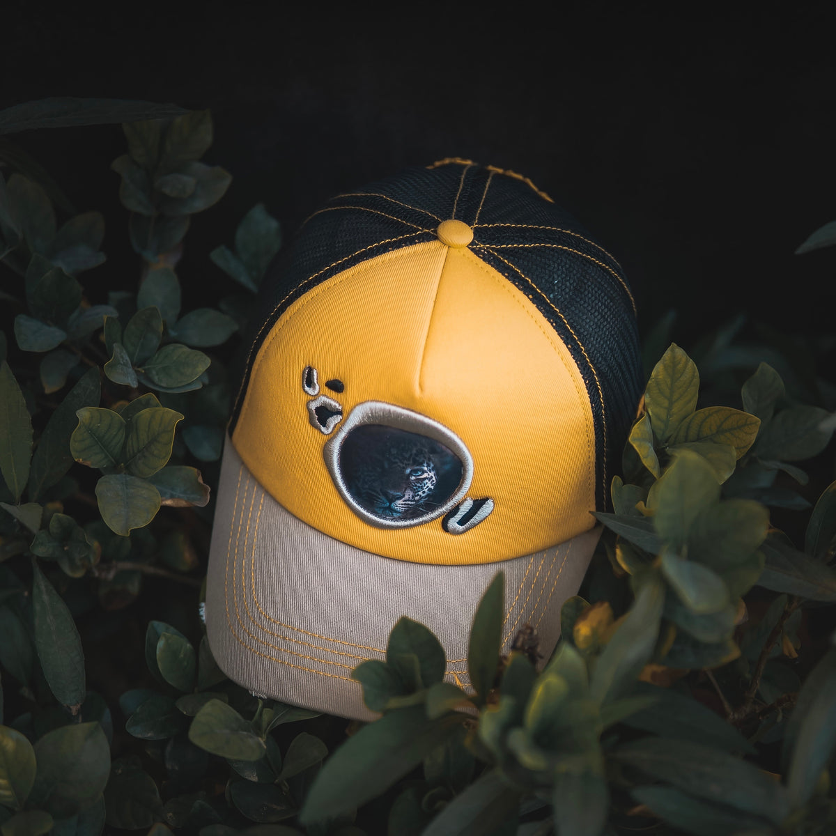 Leopard photography cap by Fronds Design, photo 1